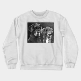 BUTLER and LILY Crewneck Sweatshirt